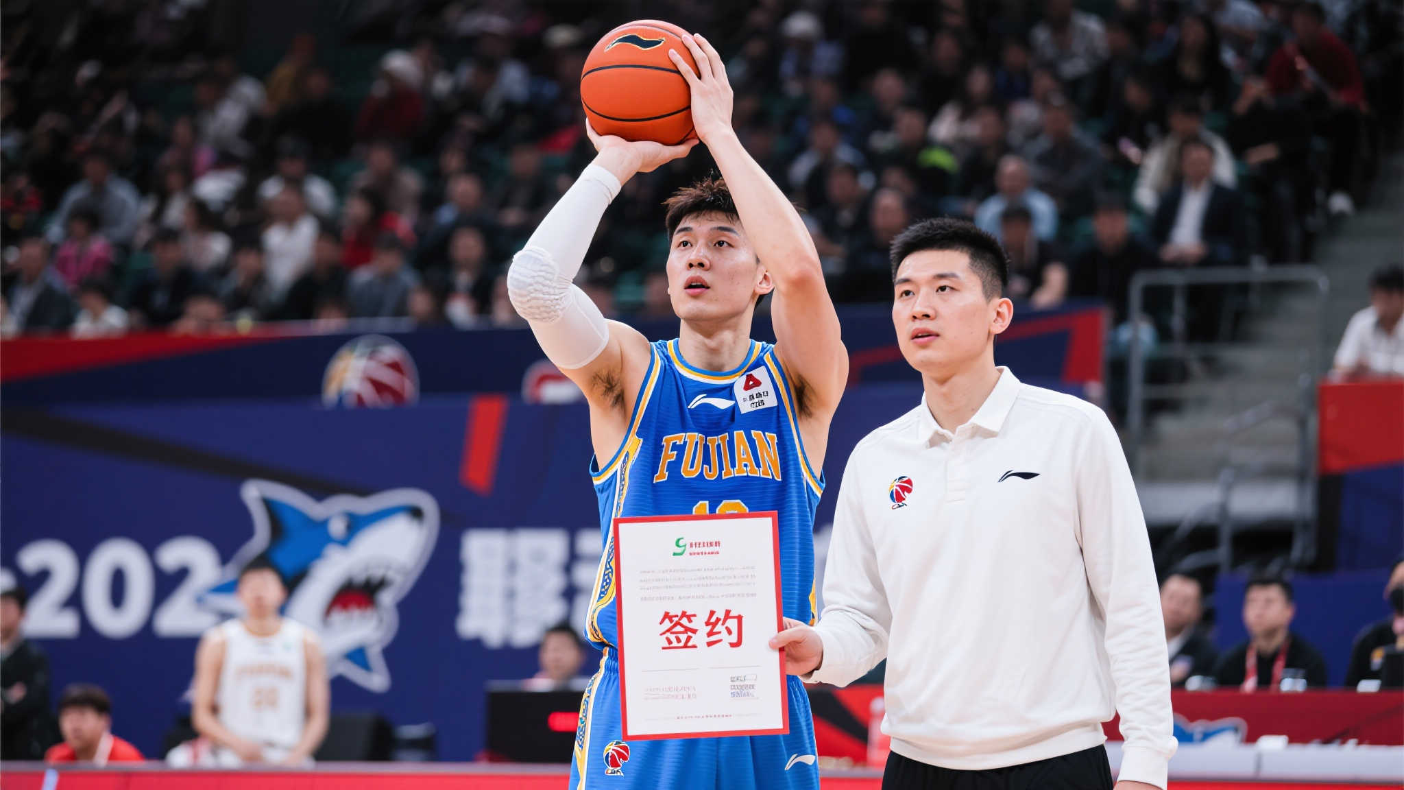 的抗压能力 的抗压能力